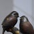 Metal Gilt Metal Double-Bird Figurine — Aged Patina, Engraved Auspicious Base For Sale - Image 7 of 9