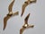 Brass Wall Decor Sculptures of Seagulls, Austria, 1963, Set of 3 For Sale - Image 10 of 16