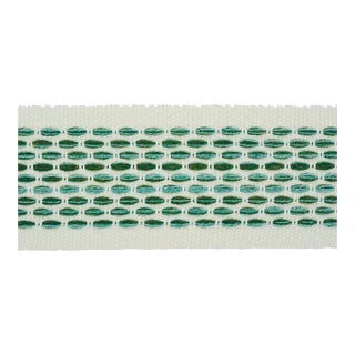 Schumacher Portola Tape Indoor & Outdoor in Green For Sale