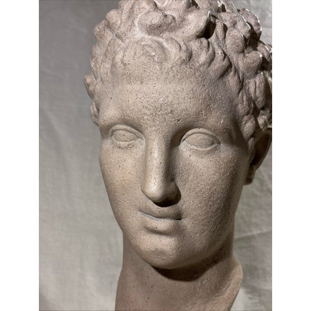 Vintage 16” 1984 Austin Productions Bust of Michelangelo's David Sculpture For Sale - Image 9 of 12