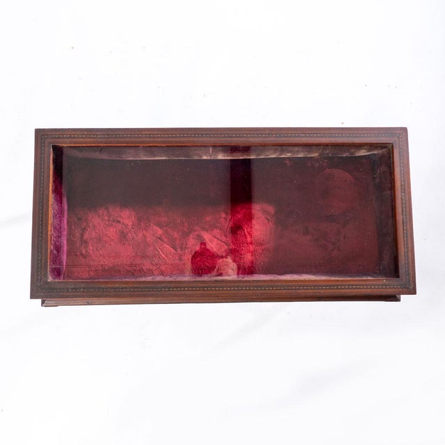 Early 20th Century Wonderful Inlaid Mahogany Vitrine For Sale - Image 4 of 18