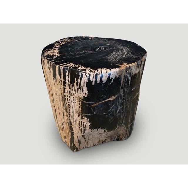 Brown Andrianna Shamaris Ancient Sculptural Petrified Wood Side Table For Sale - Image 8 of 18