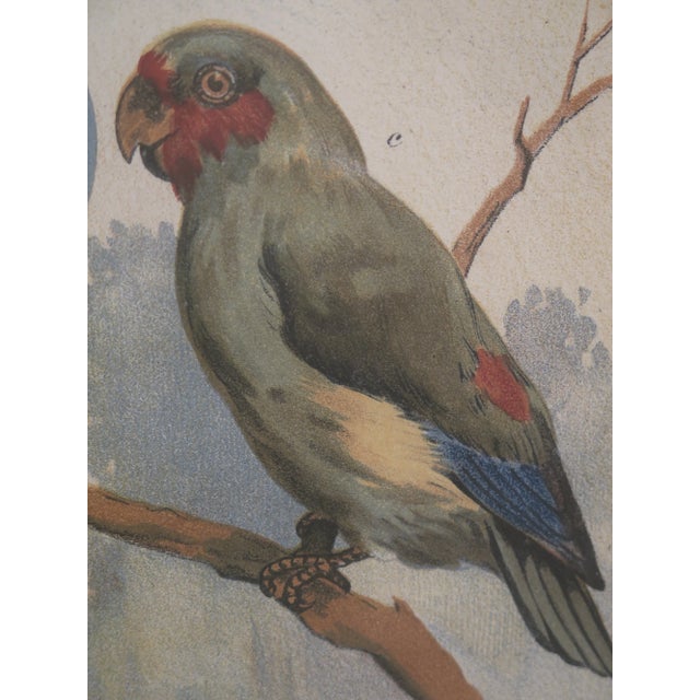 Offered For Sale Is This High-Quality Framed Art Being Sold From Private Home. Was Professionally Framed Approx: 20 - 30...