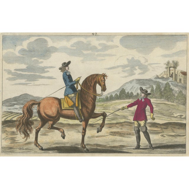Georg Simon Winter von Adlersflügel, Baroque Dressage Horse in Collection, 1678, Print For Sale - Image 9 of 9