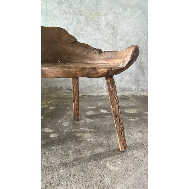 Wood Chair in Teak with Monoxyl Seat For Sale - Image 7 of 18