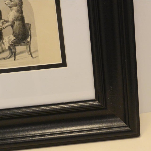 1900 - 1909 Antique Print From "The Collection of Comical Creatures From Wurtenburg" C. 1860 For Sale - Image 5 of 7