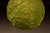 Mid 20th Century MCM Acrylic Spaghetti Globe Pendant Light For Sale - Image 5 of 6