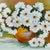 Vase with Daisies. Author: Branca. Signature: “Branca”. Date: 2005. Descriptive title: Vase with Daisies. Country/School:...