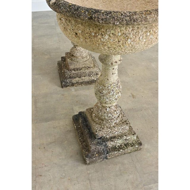 Victorian English Pair of 19th Century Cast Stone Planters For Sale - Image 3 of 14