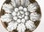 Rosoni Pattern Piero Fornasetti Porcelain Plates, a Numbered Set of Six For Sale - Image 16 of 17