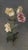 Delicate and detailed floral still life by Alfred Broge (Danish, 1870-1955). Three white anemones and one pink poppy, all...