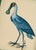 This whimsical handpainted spoonbill is brought to life with delicate layering, fine brushwork, and striking tonal...