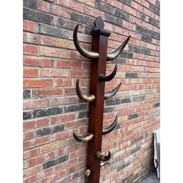 19th Century Bull Horn Hall Tree For Sale In Nashville - Image 6 of 12