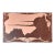 Hand-Etched Desert Mountain Landscape Blush Mirrored Wall Decor For Sale