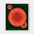Explore the wondrous world of fungi, mushrooms, and mycelium in this captivating visual survey With millions of species...