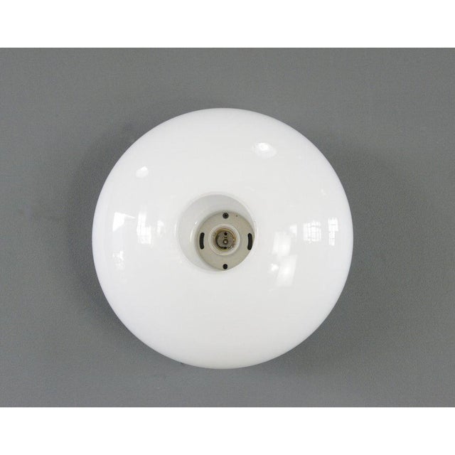 Metal Wall Mounted Light by Wilhelm Wagenfeld for Lindner, 1950s For Sale - Image 7 of 8