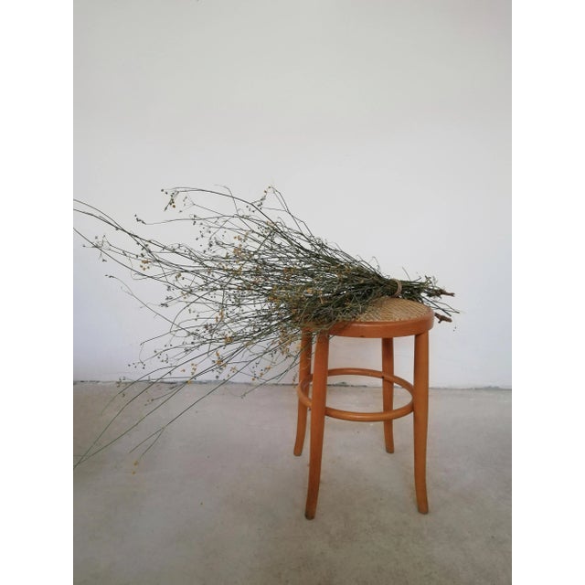 Viennese Wood and Straw Stool For Sale - Image 3 of 11
