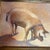 Contemporary original painting by Stephen Heigh “Champion Pig”. Signed and framed. Measures 10x8 or approximately...
