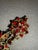 Metal 1950s Bohemian (Czech) Panel Link Bracelet Large Faceted Oval Ruby Glass Stone, Surrounded by Quatrefoil-Arranged Floral Clusters. For Sale - Image 7 of 8