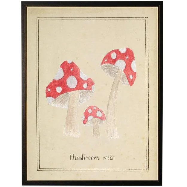 Spotted Mushrooms in Black & Copper Shadowbox 13 X 17 For Sale