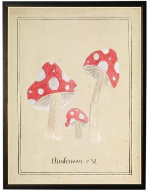 Spotted Mushrooms in Black & Copper Shadowbox 13 X 17