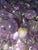Boho Chic Collection of Amethyst Quartz Drops For Sale - Image 3 of 11