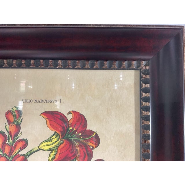 Glass Oversized Framed Botanical Prints, Iris and Lilio-Narcissus, 32"h - A Pair For Sale - Image 7 of 8