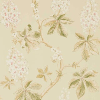Sanderson Chestnut Tree Wallpaper in Coral/Bayleaf - a Sample For Sale