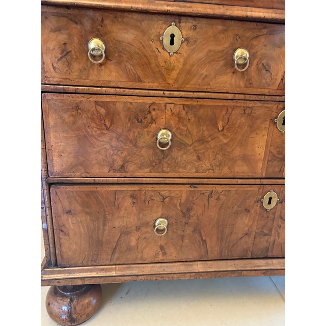 Antique Burr Walnut and Featherbanded Bookcase, 1710 For Sale - Image 15 of 18