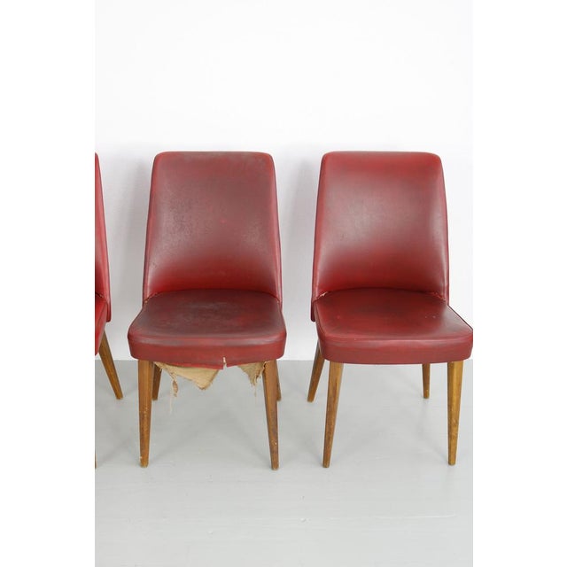 Dining Chairs from Castelli / Anonima Castelli, Italy, 1950s, Set of 6 For Sale - Image 15 of 18