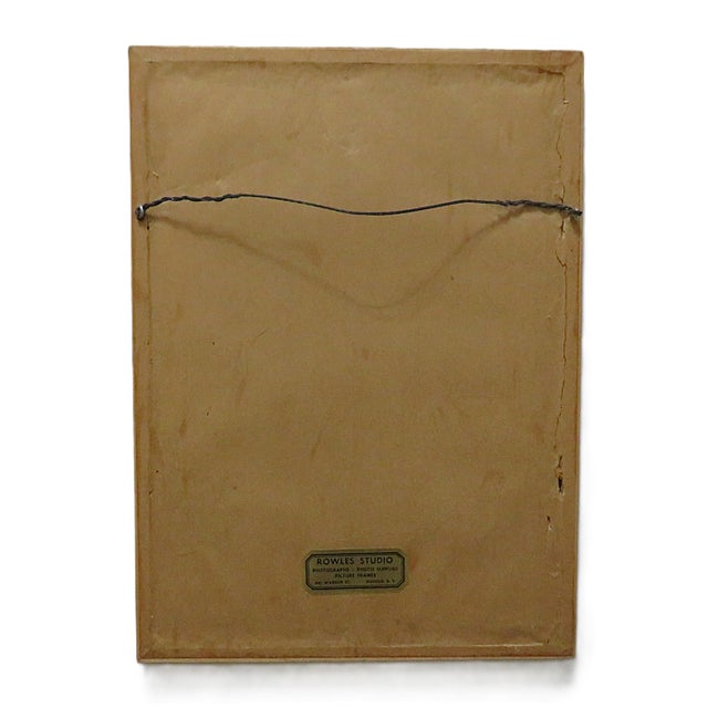 Brown Set of 3 Alexander Wilson Owl Bird Engravings Framed 19th C. Antique For Sale - Image 8 of 8