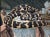 Chinoiserie Tropical Scenic Mural Panel, Wildlife Jungle on Gilded Background For Sale - Image 4 of 4