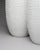 Ceramic Op-Art Bisque Porcelain Vases with Crocodile Reptile Relief by Manfred Frey for AK Kaiser, 1960s, Set of 2 For Sale - Image 7 of 18