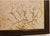 Antique Brazilian Sandstone Framed Plaque Dendrite Fossil Ferns Miniature Geologic Fern For Sale - Image 10 of 14