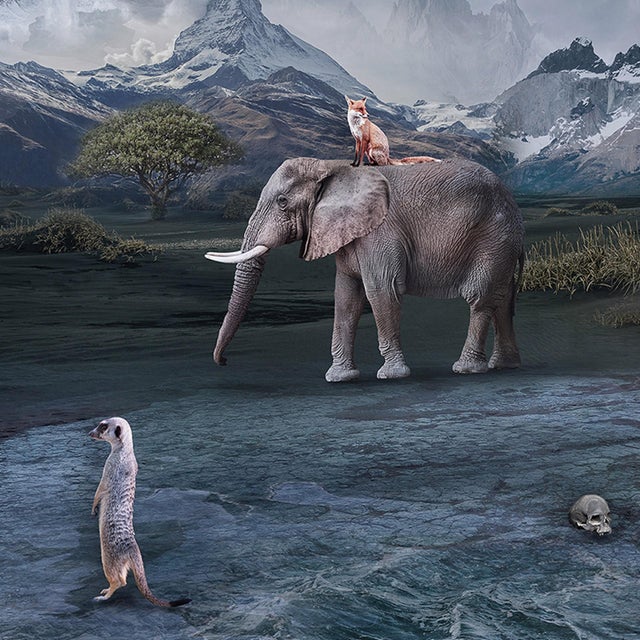 In Search of Arcadia II by Marcin Owczarek | Photography - Dye Sublimation on Aluminum surreal landscape with animals For Sale - Image 4 of 5