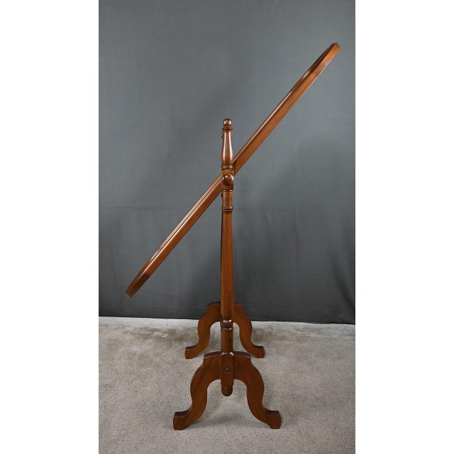 Mahogany Psyche Part 2 Mirror, 20th Century For Sale - Image 12 of 16