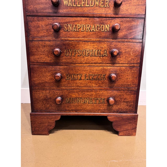 19th Century Chest of Drawers With Botanical Species For Sale - Image 9 of 11