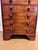19th Century Chest of Drawers With Botanical Species For Sale - Image 9 of 11