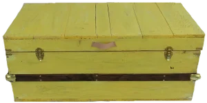 Rustic Sunny Yellow Washed Steamer Trunk