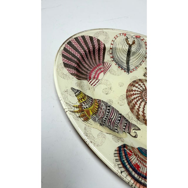 John Derian Signed Nautilus Seashell Decoupage Glass Platter 14” Hand-printed paper images are meticulously applied to...