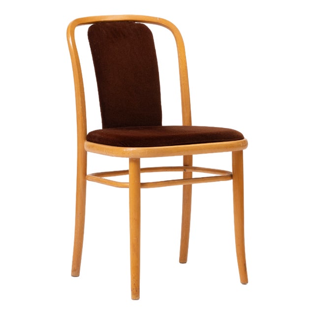 Bentwood Chair in Brown Velvet by Ton For Sale