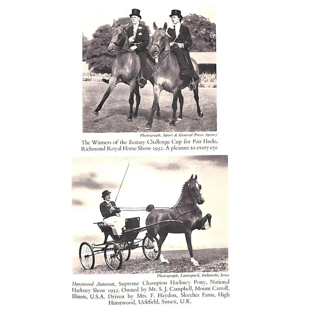 1950s Clothes and the Horse a Guide to Correct Dress for All Riding Occasions Book For Sale - Image 5 of 13
