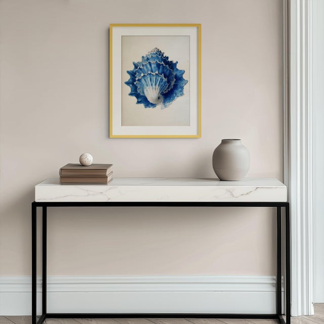 Set of 8 – Blue and White Conch Shells Collection | Coastal Natural History Fine Art Prints For Sale - Image 4 of 18