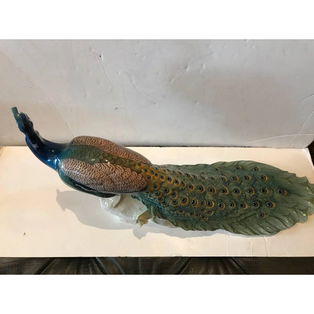 Art Nouveau 1910s Art Nouveau Extraordinary Nymphenburg Porcelain Peacock For Sale - Image 3 of 11