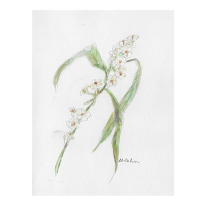 Myriam Cahn Botanical Painting