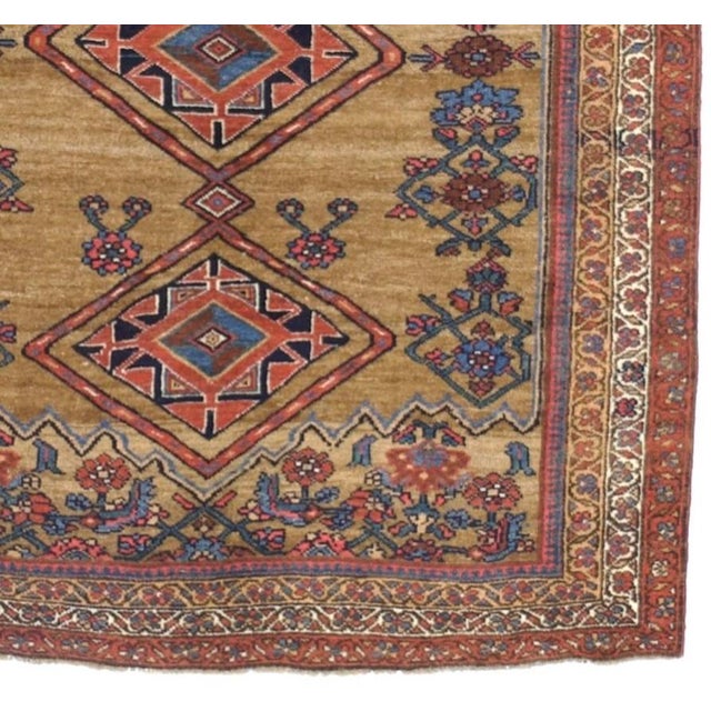 Antique Kurdish Bidjar Rug 4'1" X 5’11" For Sale - Image 4 of 9