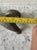 Antique Mixed Metal Dachsund Door Stop For Sale In New York - Image 6 of 8