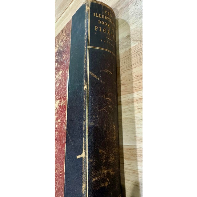 Rare 1870s First Edition: The Illustrated Book of Pigeons by Robert Fulton (Cassell Petter & Galpin) Complete With All 50 Color Plates by j.w. Ludlow For Sale - Image 4 of 12