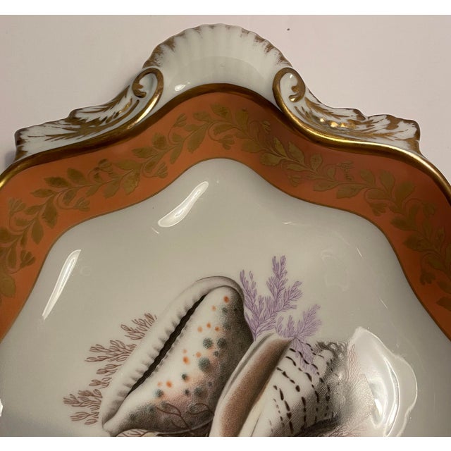 Traditional Mottahedeh for Historic Natchez Shell Dish For Sale - Image 3 of 6