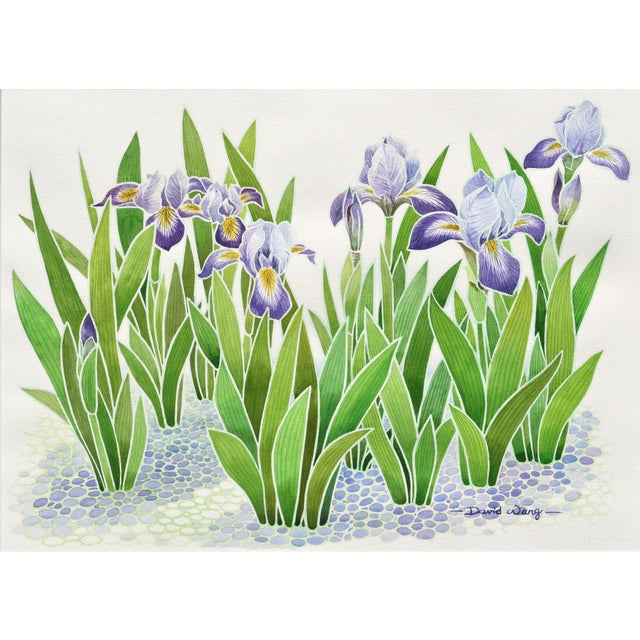 Clean and detailed watercolor of blue flag irises by David Wang (Chinese-American, 20th Century). Signed in the lower...